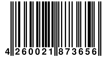 4 260021 873656