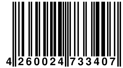 4 260024 733407