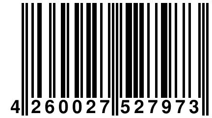 4 260027 527973