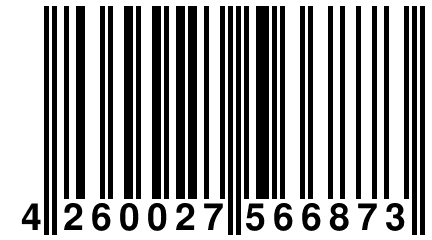 4 260027 566873