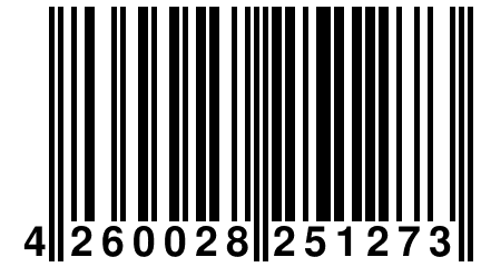 4 260028 251273