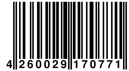 4 260029 170771