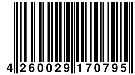 4 260029 170795