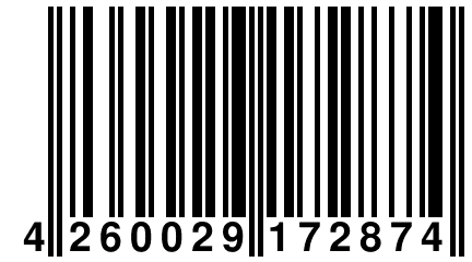 4 260029 172874