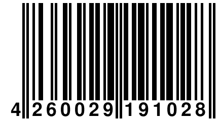 4 260029 191028