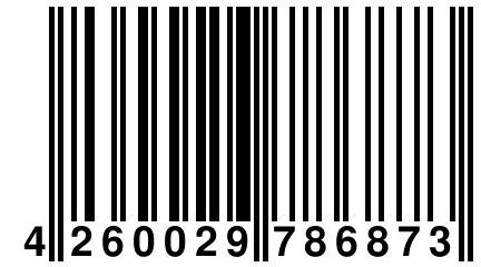 4 260029 786873