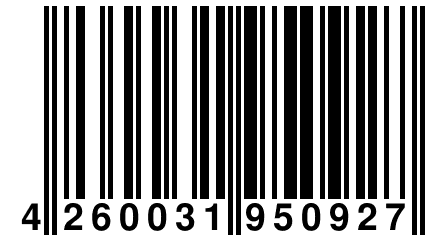 4 260031 950927