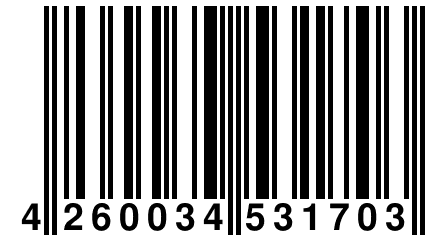 4 260034 531703