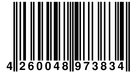 4 260048 973834