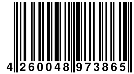 4 260048 973865