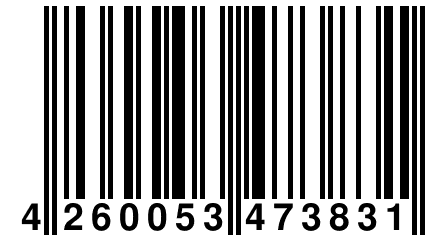 4 260053 473831