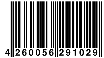 4 260056 291029