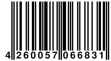 4 260057 066831