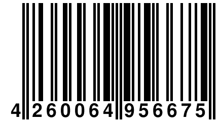 4 260064 956675