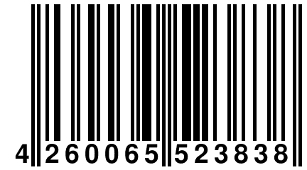 4 260065 523838