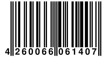 4 260066 061407