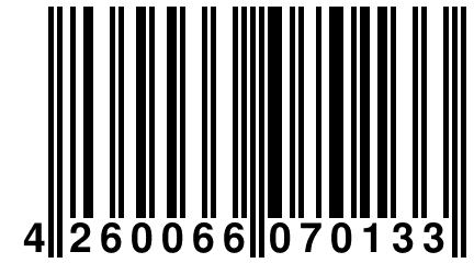 4 260066 070133