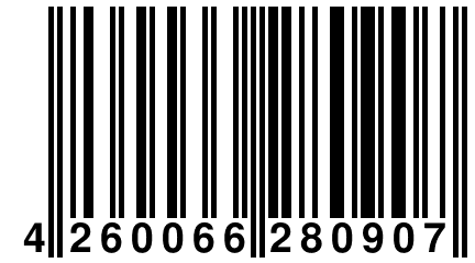 4 260066 280907