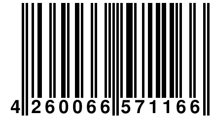 4 260066 571166