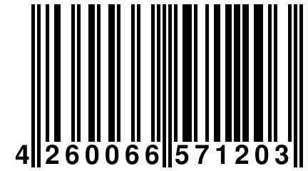 4 260066 571203