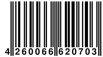 4 260066 620703