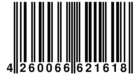 4 260066 621618