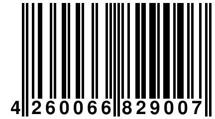 4 260066 829007