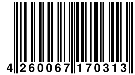 4 260067 170313