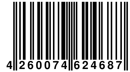 4 260074 624687