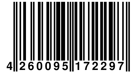 4 260095 172297