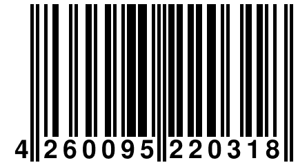 4 260095 220318