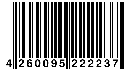 4 260095 222237