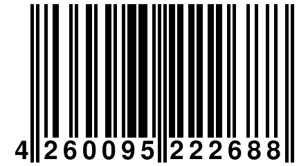 4 260095 222688