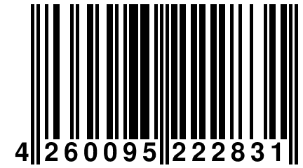 4 260095 222831