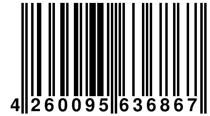 4 260095 636867