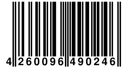 4 260096 490246