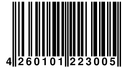 4 260101 223005