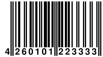 4 260101 223333