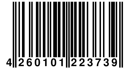 4 260101 223739