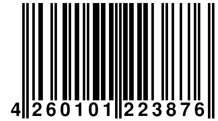 4 260101 223876