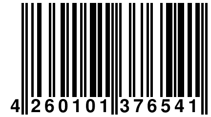 4 260101 376541