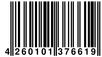 4 260101 376619