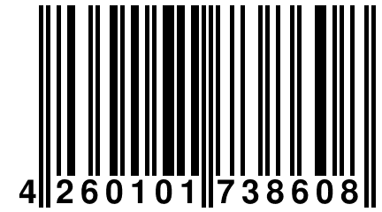 4 260101 738608