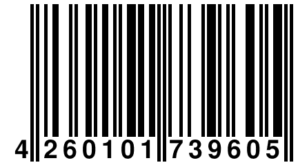 4 260101 739605