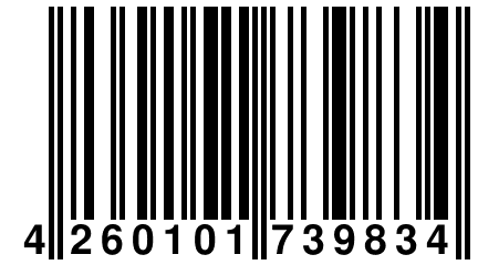 4 260101 739834