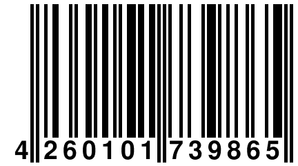 4 260101 739865