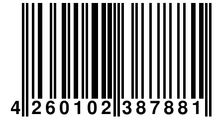 4 260102 387881