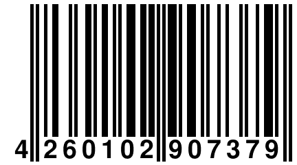 4 260102 907379