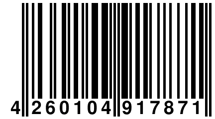 4 260104 917871