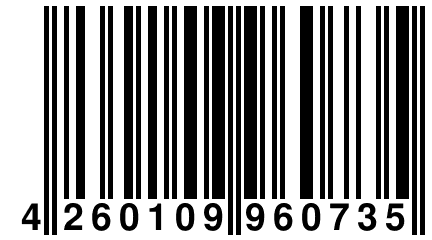 4 260109 960735